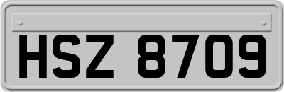 HSZ8709