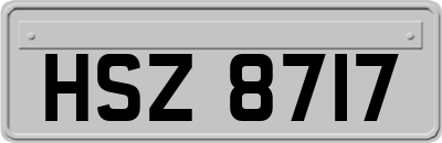 HSZ8717