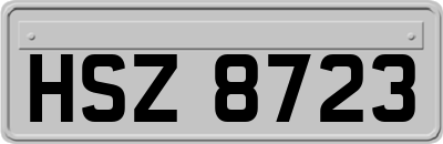 HSZ8723