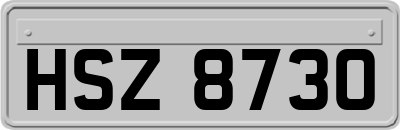 HSZ8730