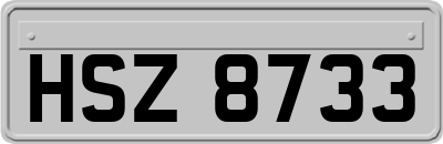 HSZ8733