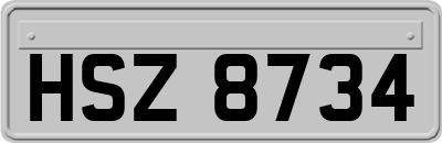 HSZ8734