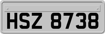 HSZ8738