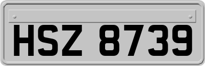 HSZ8739