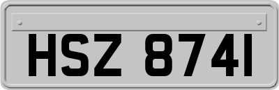 HSZ8741