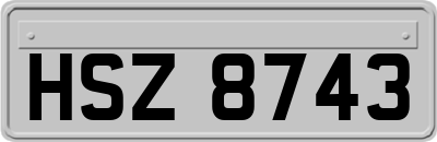 HSZ8743