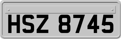 HSZ8745
