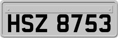 HSZ8753