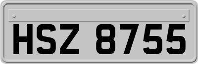 HSZ8755