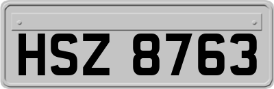 HSZ8763