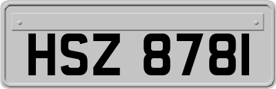 HSZ8781