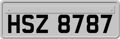 HSZ8787