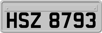 HSZ8793