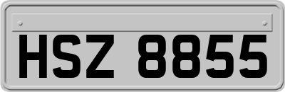 HSZ8855