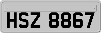 HSZ8867