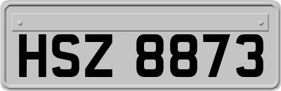 HSZ8873