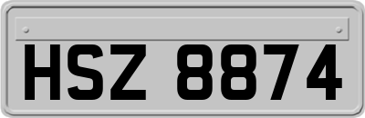 HSZ8874