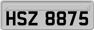 HSZ8875