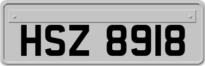 HSZ8918