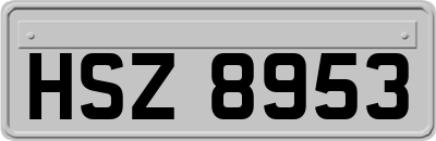HSZ8953