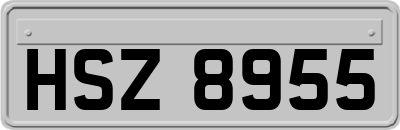 HSZ8955