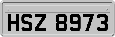 HSZ8973
