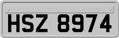 HSZ8974