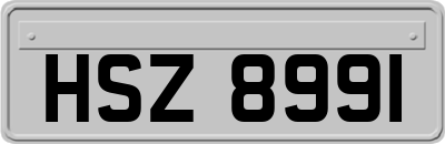 HSZ8991