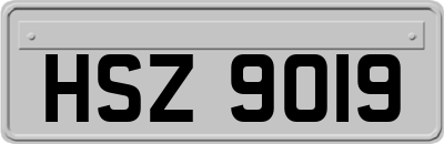 HSZ9019