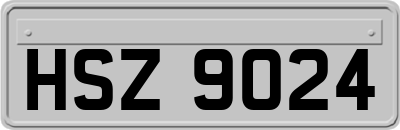 HSZ9024