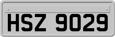 HSZ9029