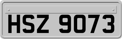 HSZ9073