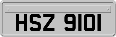 HSZ9101