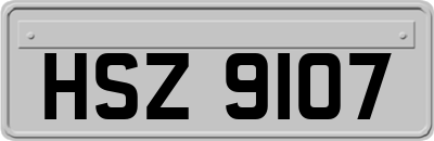 HSZ9107