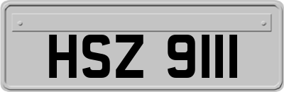 HSZ9111