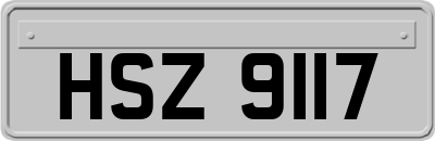 HSZ9117