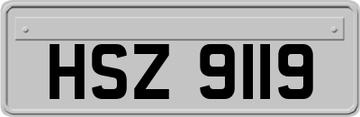 HSZ9119