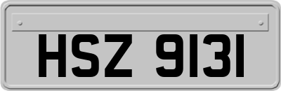 HSZ9131