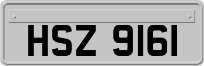 HSZ9161