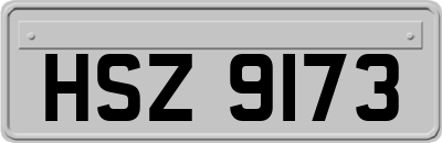 HSZ9173