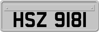 HSZ9181