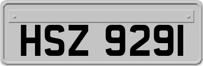 HSZ9291
