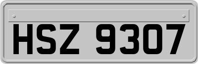 HSZ9307