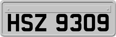 HSZ9309