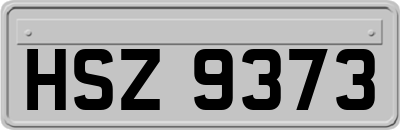 HSZ9373