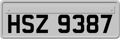 HSZ9387