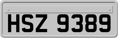 HSZ9389