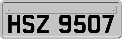 HSZ9507