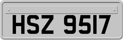 HSZ9517