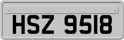 HSZ9518